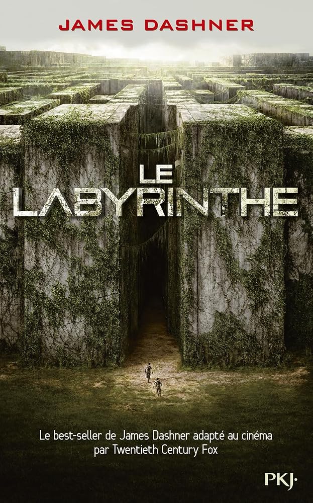 1. L'épreuve : Le labyrinthe cover image