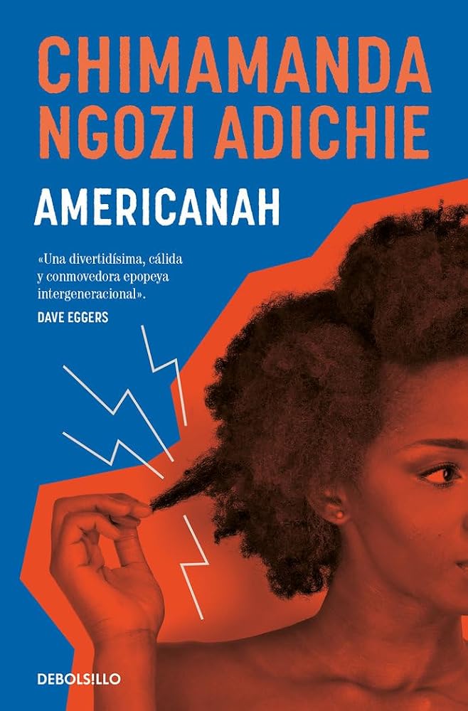 Americanah (Best Seller) cover image